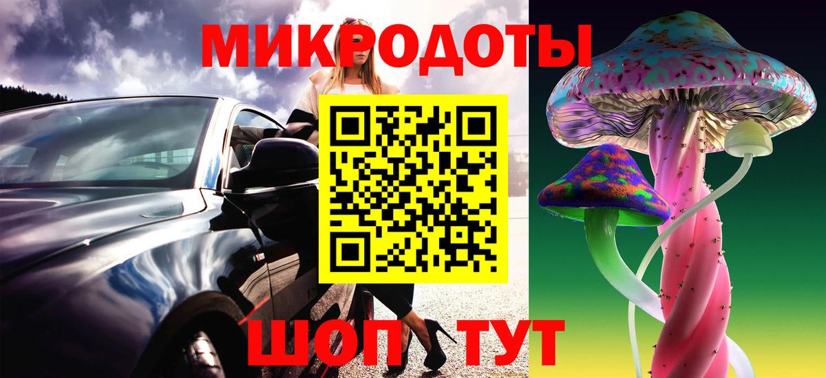 Ачхой-Мартан  Галлюциногенные грибы прущие грибы  Галлюциногенные грибы прущие грибы  Вход с VPN 